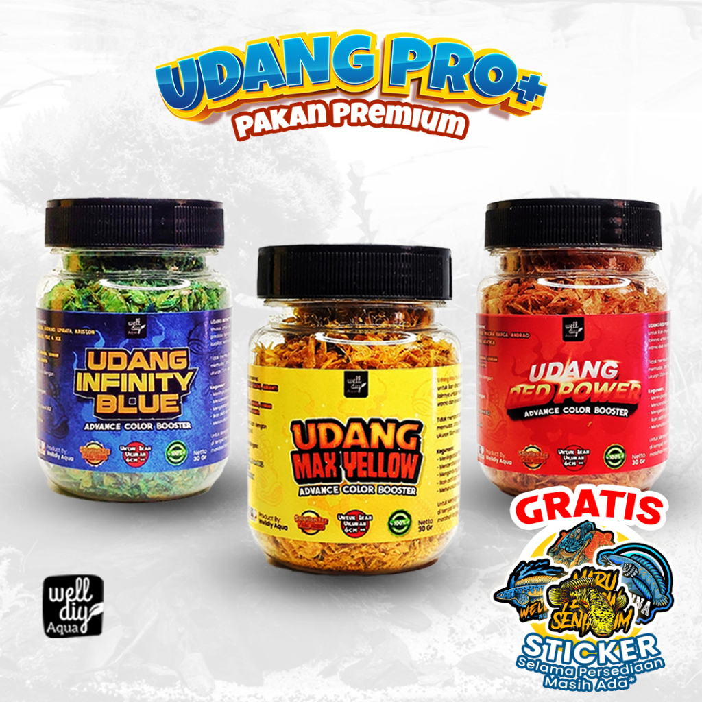 Udang Kering Pakan Ikan Channa Chana Maggot Predator Reptil Red Yellow Blue Multi Color - 30gr