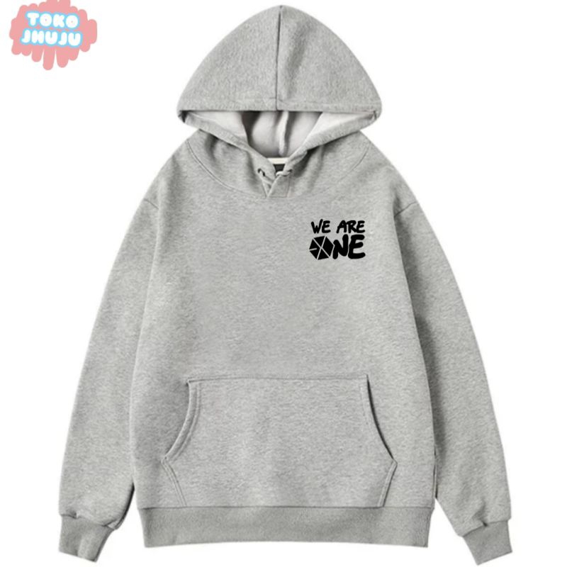 Hoodie Jumper Exo We Are One Logo Kecil