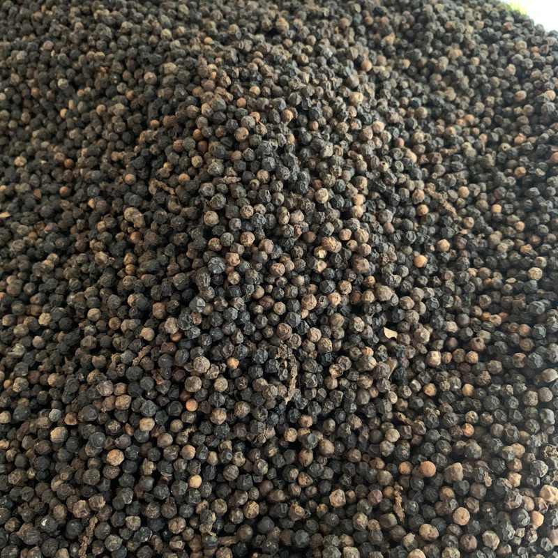 

LADA HITAM KWALITAS BAGUS 1 KG