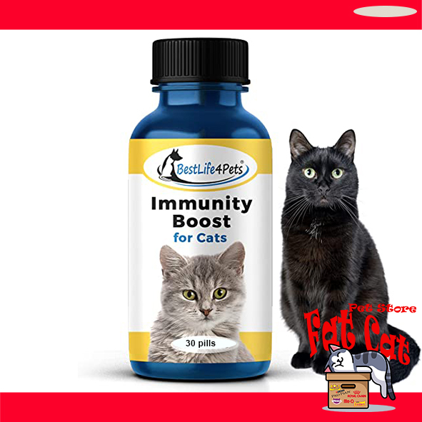 Vitamin BestLife4Pet immune booster Vitamin untuk hewan vitamin kucing - Per Botol