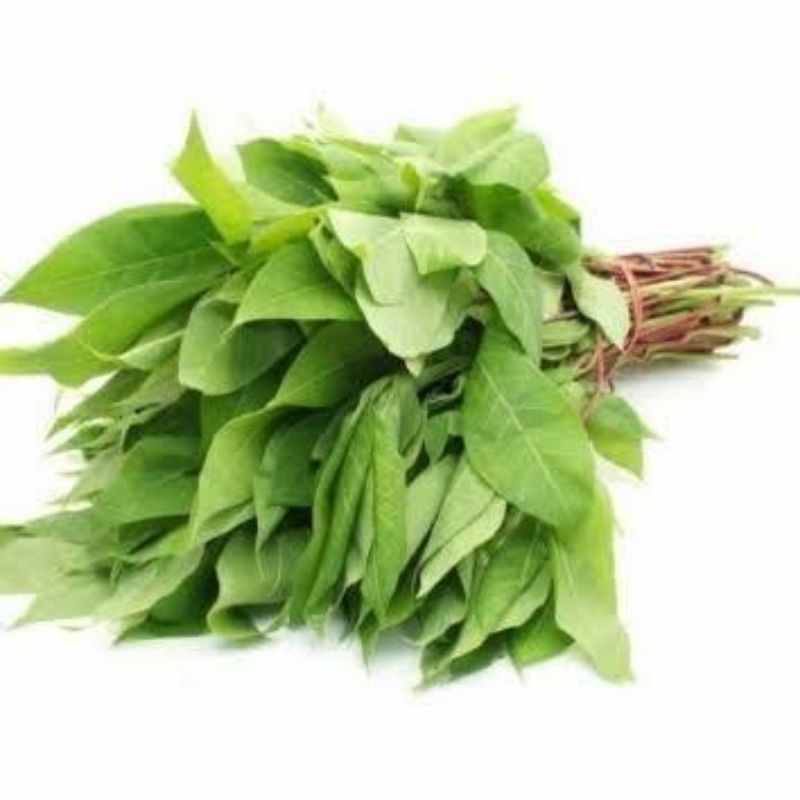 

daun singkong 1 ikat