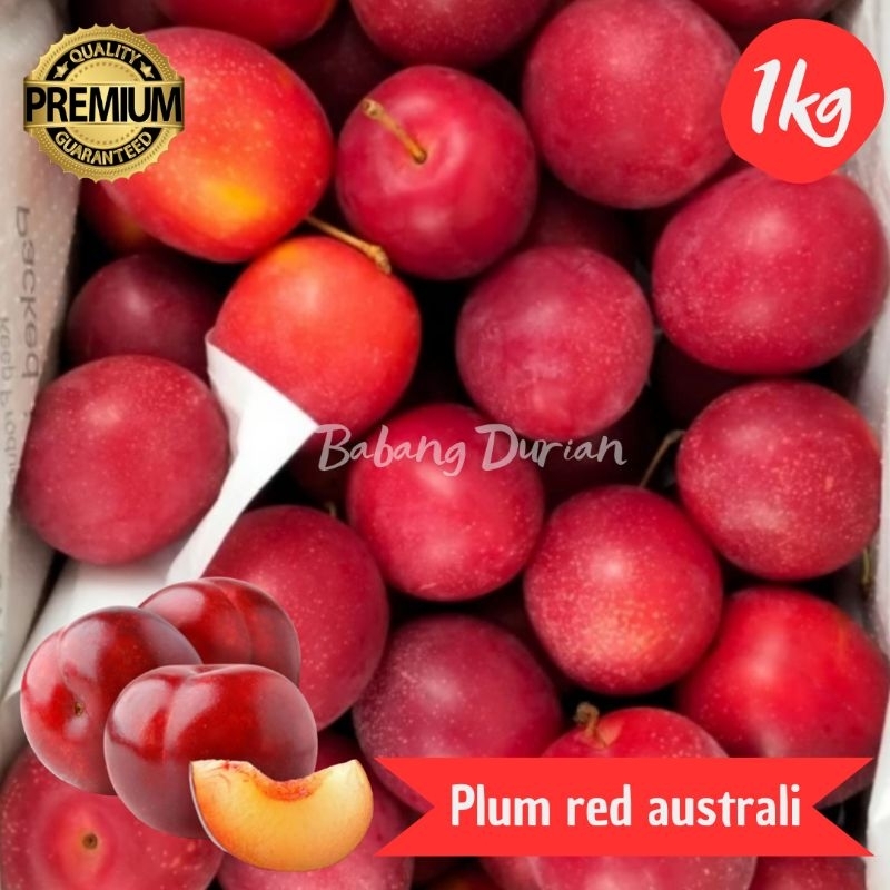 

BUAH PLUM RED AUSTRALIA 1KG IMPORT FRESH KUALITAS TERBAIK RASA MANIS ASAM/PLUM RED AUSTRALIA/PLUM RED AUSTRALI