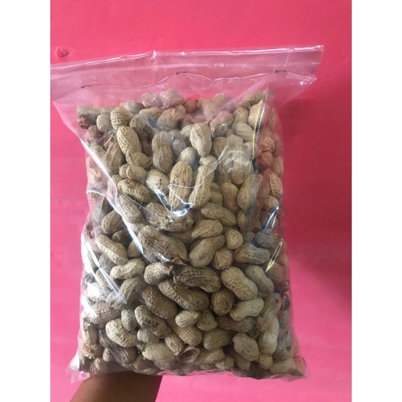 

kacang kulit asin