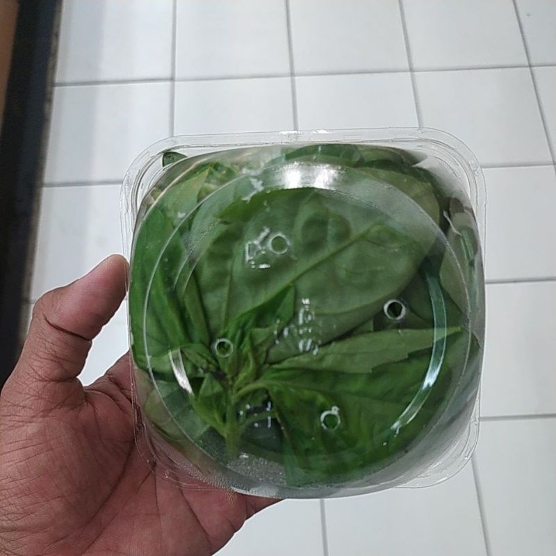 

DAUN BASILICUM PER 1 PACK BASIL LEAVES DENPASAR BALI