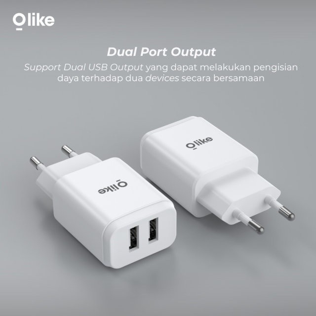 Olike C201 12W Dual USB Charger TWS Adapter Low Watt + Micro USB Cable