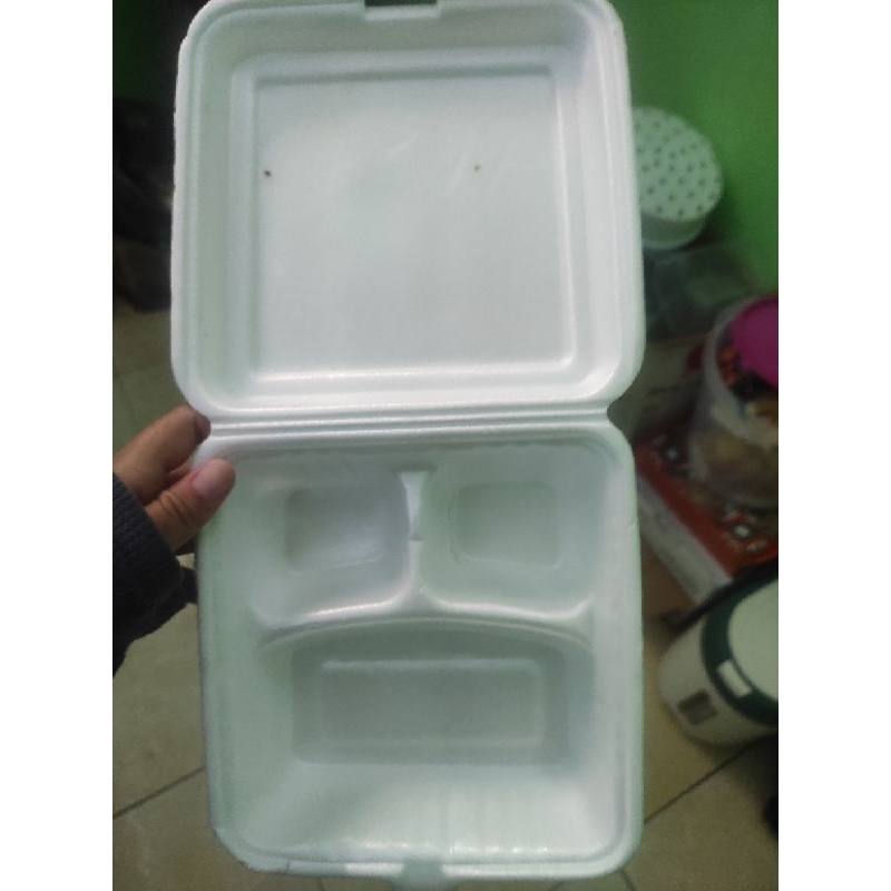 Sterofoam / Box nasi/Lunchbox Nasi polos sekat 3