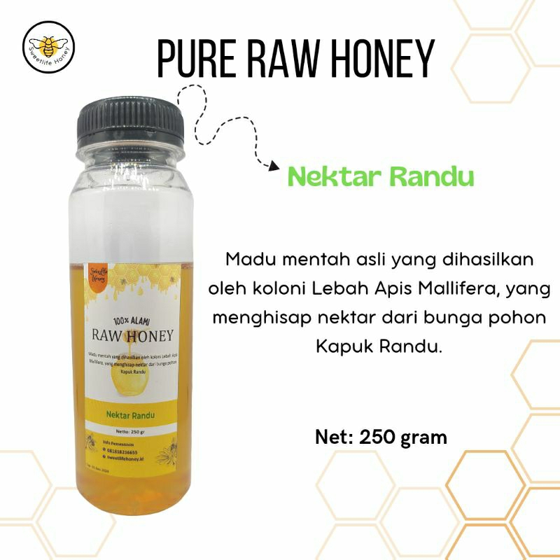 

Madu Murni Mentah Madu Asli Nektar Randu 250gram Pure Raw Honey