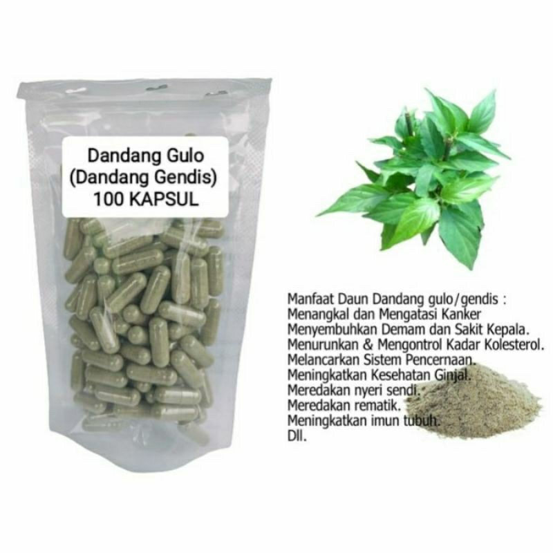 

DANDANG GULO Kapsul Herbal Alami Kemasan Hemat - isi 100 pcs