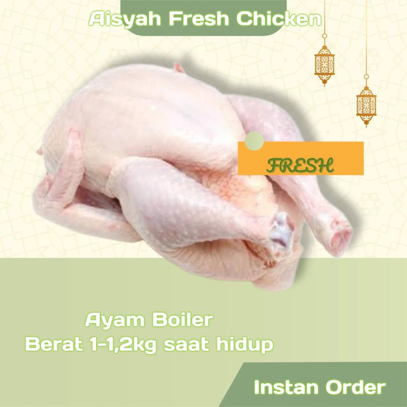

Ayam potong boiler fresh segar termurah 1 -1.2 kg