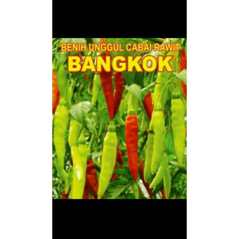 50 benih/biji cabai Bangkok/cabai unggulan f1