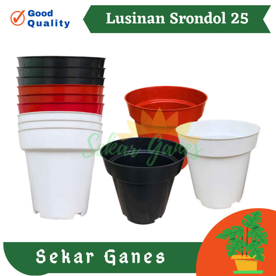 LUSINAN Pot Srondol 25 Bata Hitam Putih  Coklat Pot Tirus Tinggi Plastik 20 25 30 Putih Hitam Besar Tebal Lusinan Pot Eiffel Eifel Efiel Effiel 25