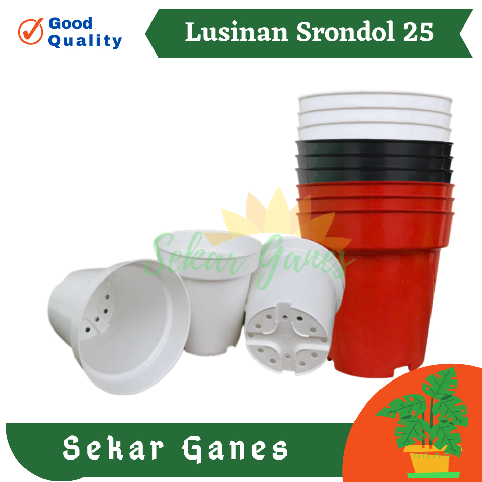 LUSINAN Pot Srondol 25 Bata Hitam Putih  Coklat Pot Tirus Tinggi Plastik 20 25 30 Putih Hitam Besar Tebal Lusinan Pot Eiffel Eifel Efiel Effiel 25