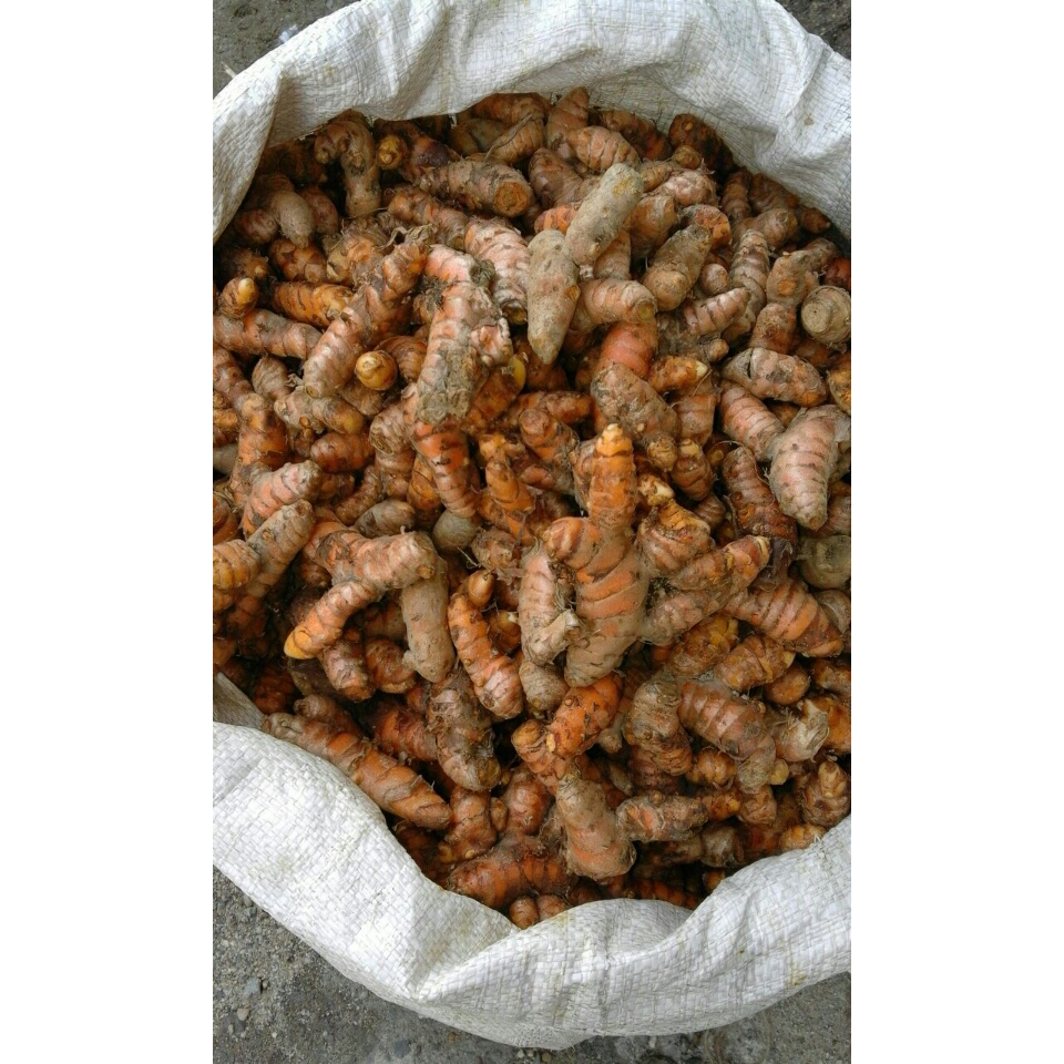 

250Gr Kunyit Super Murah