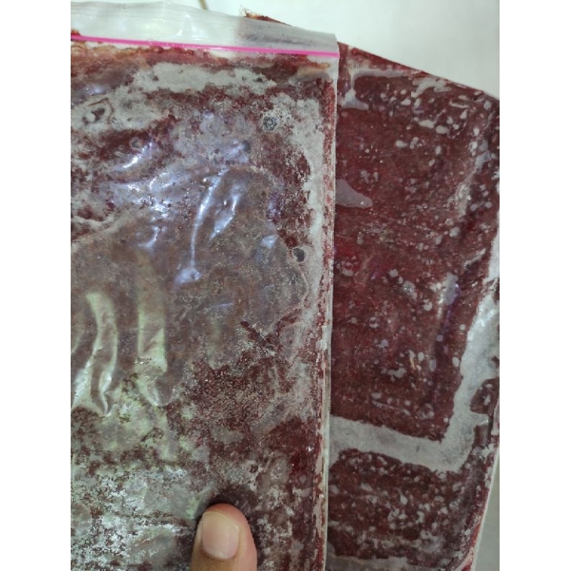 Cacing beku frozen bloodworm cacing darah 500 gr cabek makanan ikan hias discus louhan cupang guppy 