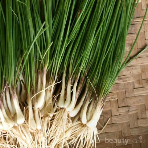 

Daun bawang batak 250gr