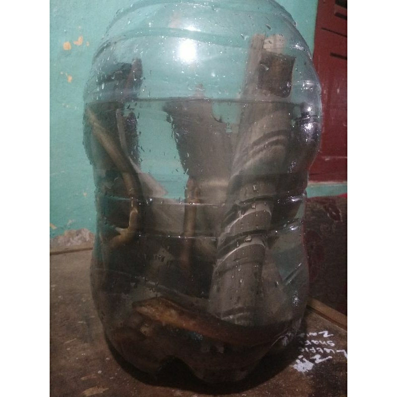 belut sawah umpan pancing galatama lele dan di laut bagan hidup segar 2bj jos