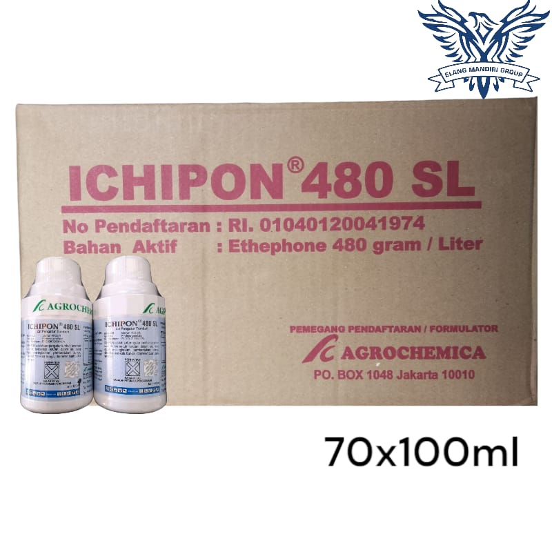 1 Dus Ichipon Original 480SL ZPT Zat Pengatur Tumbuh &amp; Pematang Buah 100 ml x 70pcs Agrochemica