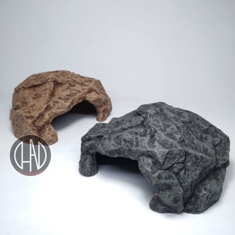 hiding cave reptile , gecko , tarantula small
