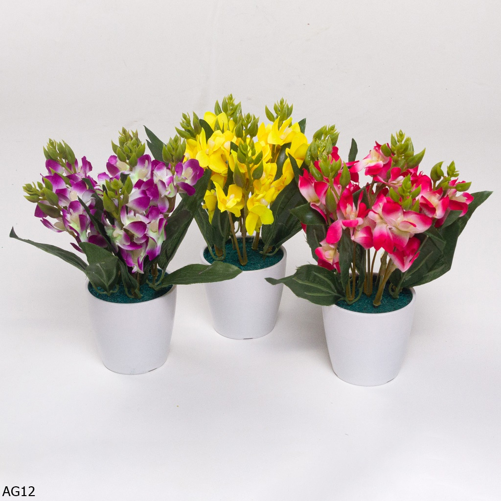 Buket Bunga Anggrek AG12