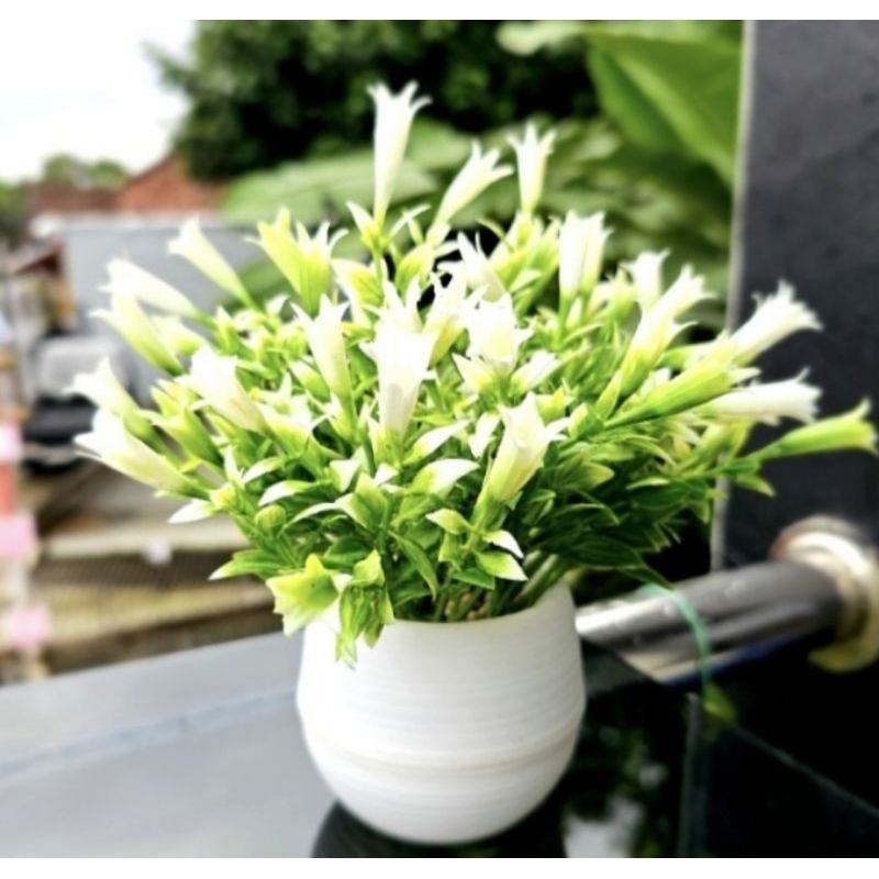 Bunga Artificial Bunga Hiasan Rumah Bunga Hiasan Meja