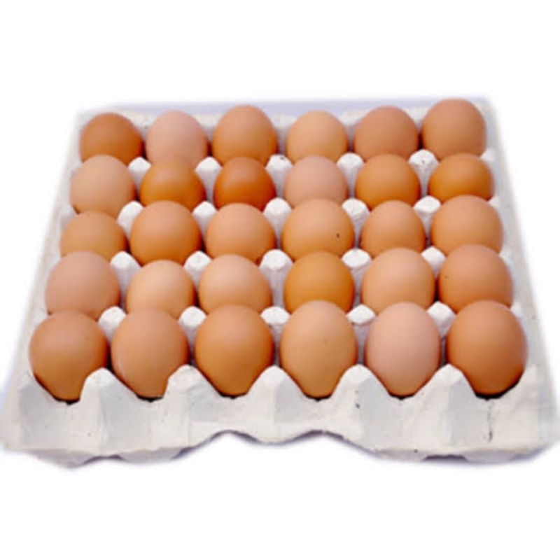 

Telur Ayam Eropa Kualitas Terbaik