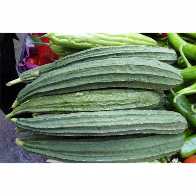 

SAYUR OYONG FRESH 500GR