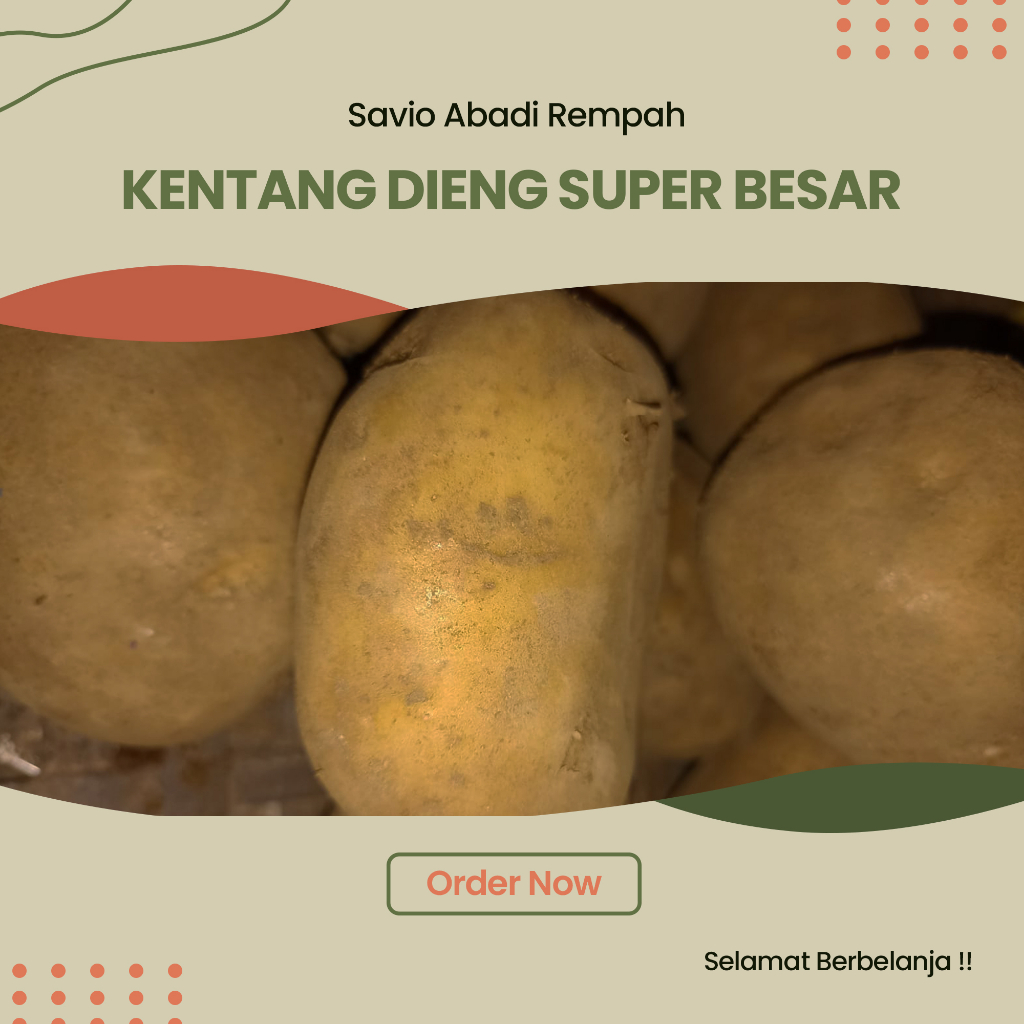 KENTANG DIENG 1KG