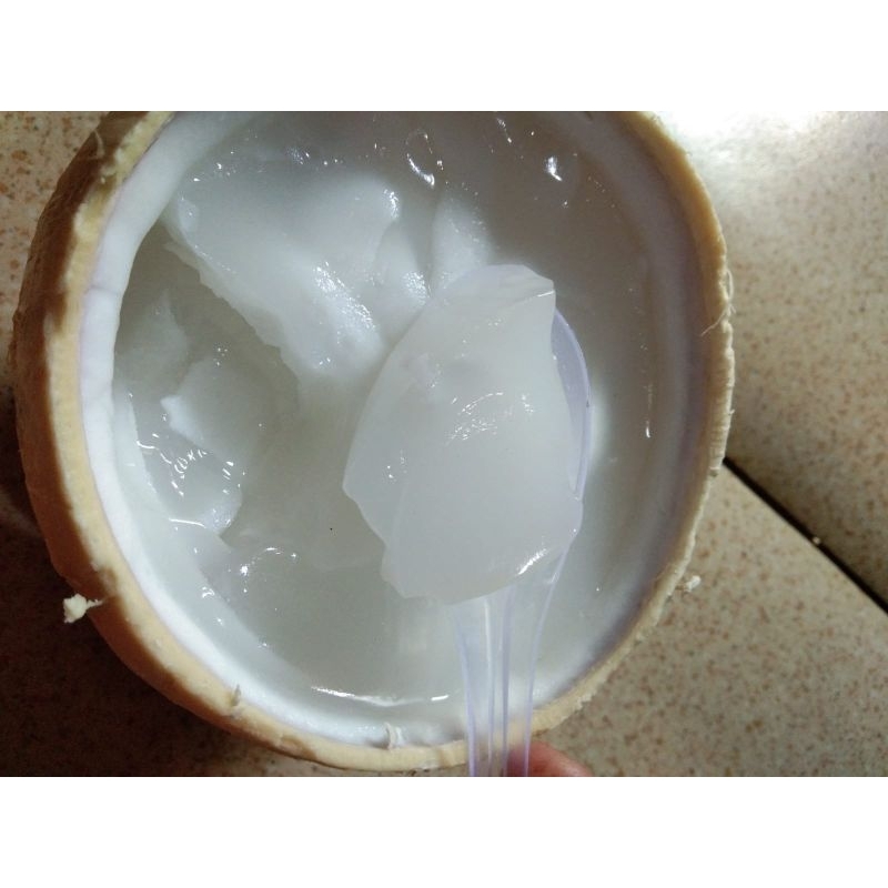 

puding kelapa batok