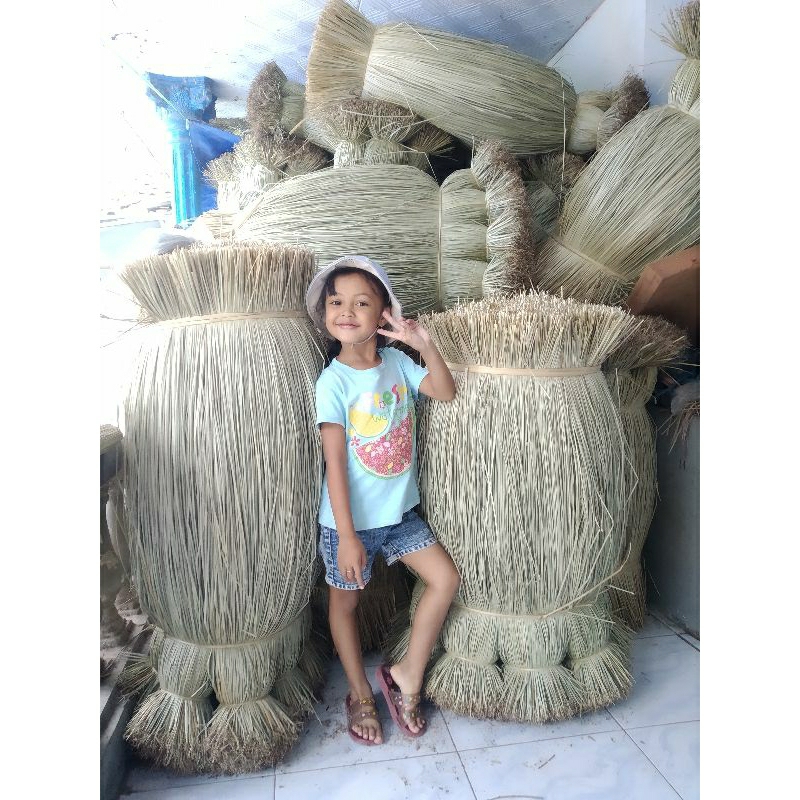 rumput mendong, rumput mendong harga grosir, bahan kerajinan,
