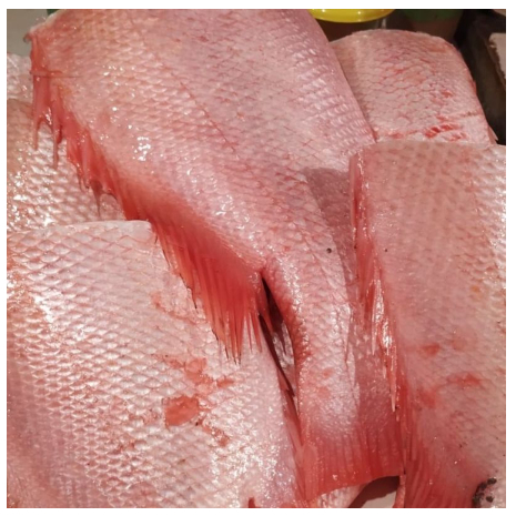 

Grosir Badan Ikan Kakap +- 500 gr Murah