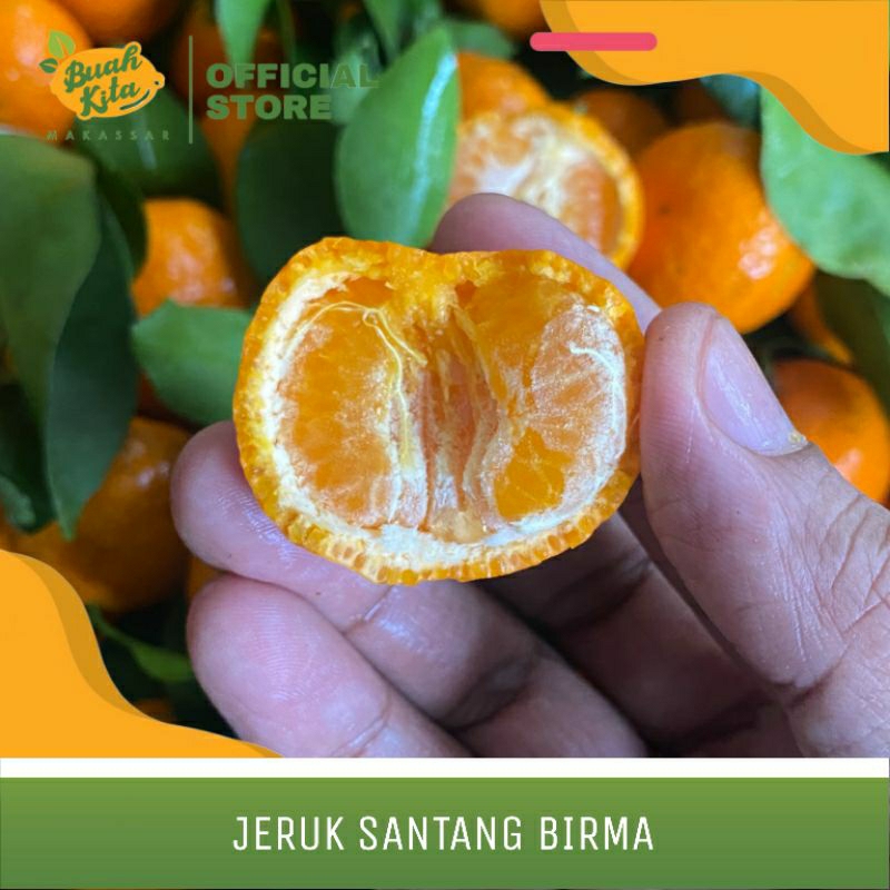 

JERUK SANTANG BIRMA IMPORT