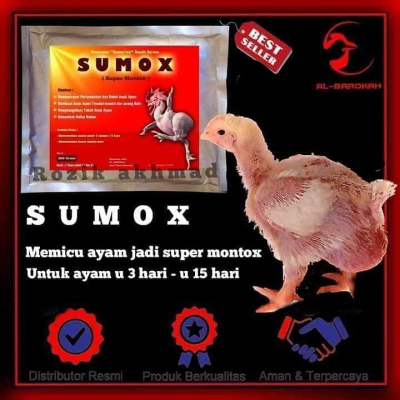 Artavela45 Sumox Vitamin Gendut Ayam Trondol Vitamin Ayam