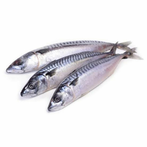 

Ikan Salem Bandung