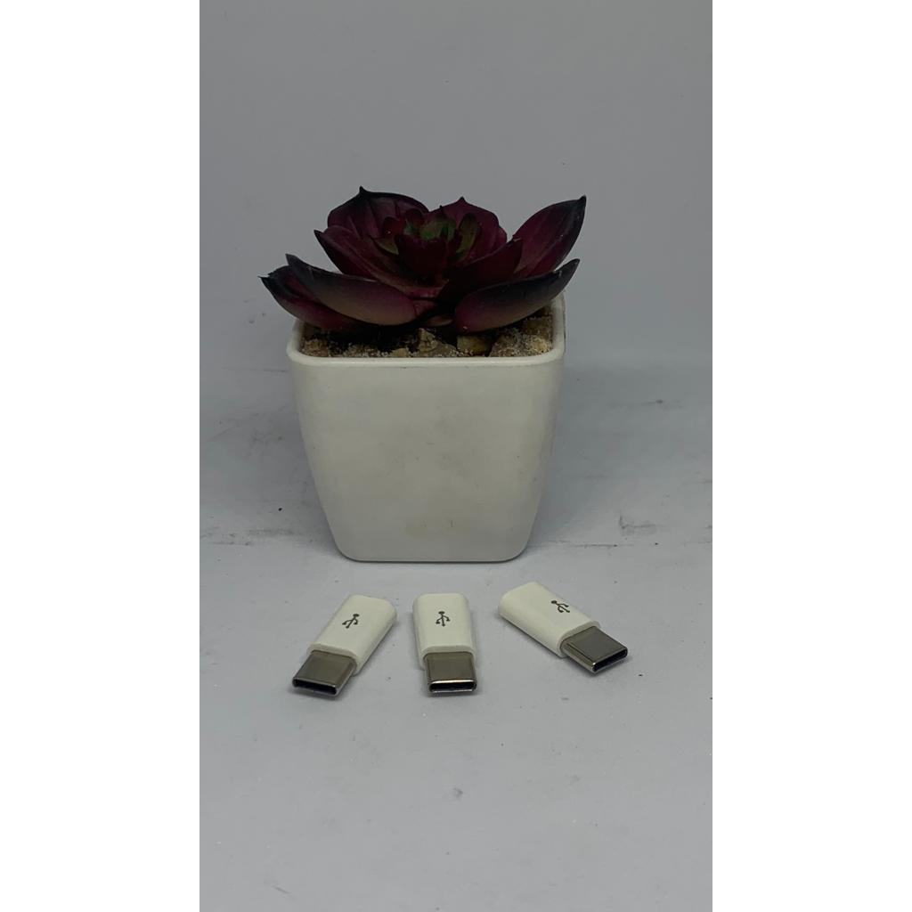 CONNECTOR/SAMBUNGAN KABEL MICRO USB TO TYPE C