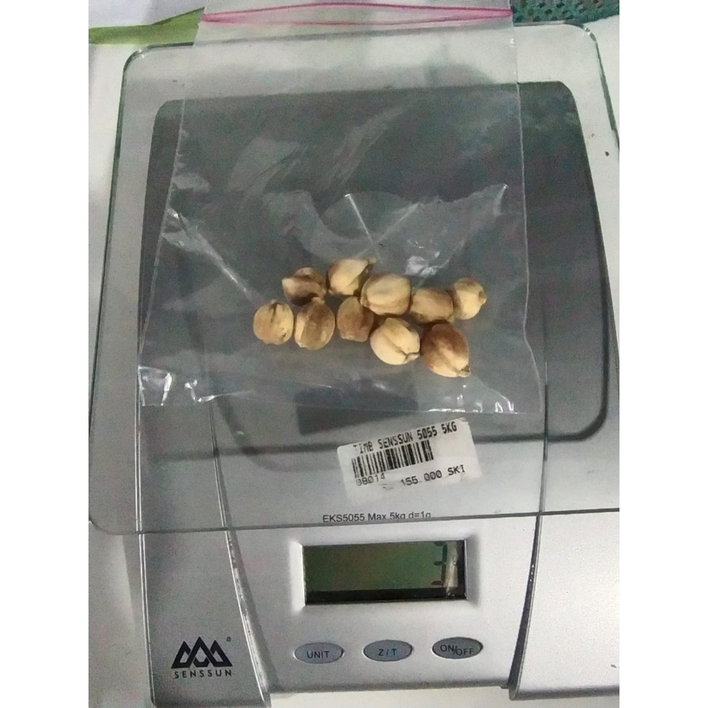 

Kapulaga Jawa / Kapulogo / Kapolaga / Kapol / White Cardamom Rempah Bumbu Eceran 1 Gram