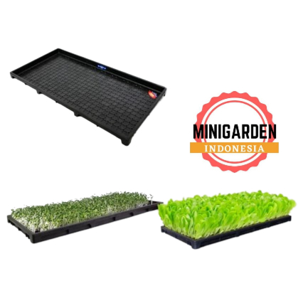 TRAY SEMAI PADI tray semai microgreen rice seedling tray paddy pot tray