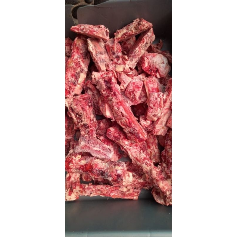 

Tulang Sapi