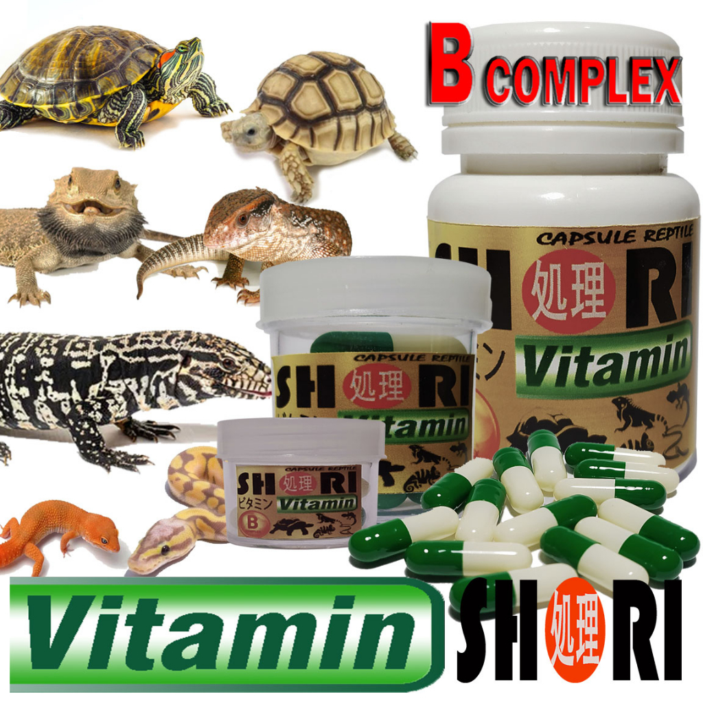 SHORI VITAMIN KAPSUL OBAT SUPLEMEN REPTILE IGUANA KADAL ULAR GECKO BD BEARDED DRAGON IGUANA BIAWAK V