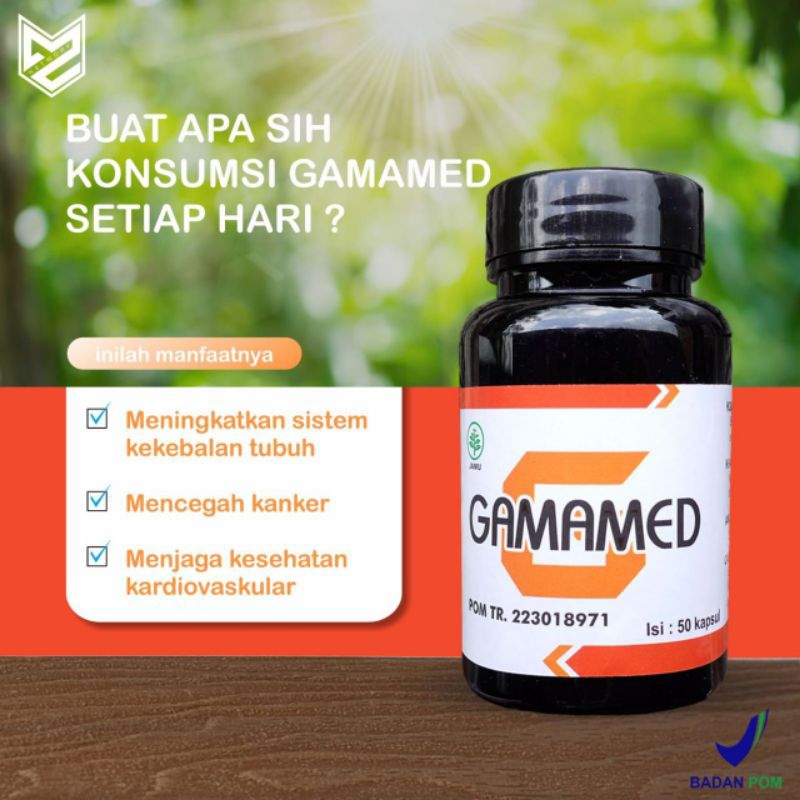 GAMAMED M2NETWORK - HERBAL TERIPANG EMAS UNTUK SEMUA PENYAKIT