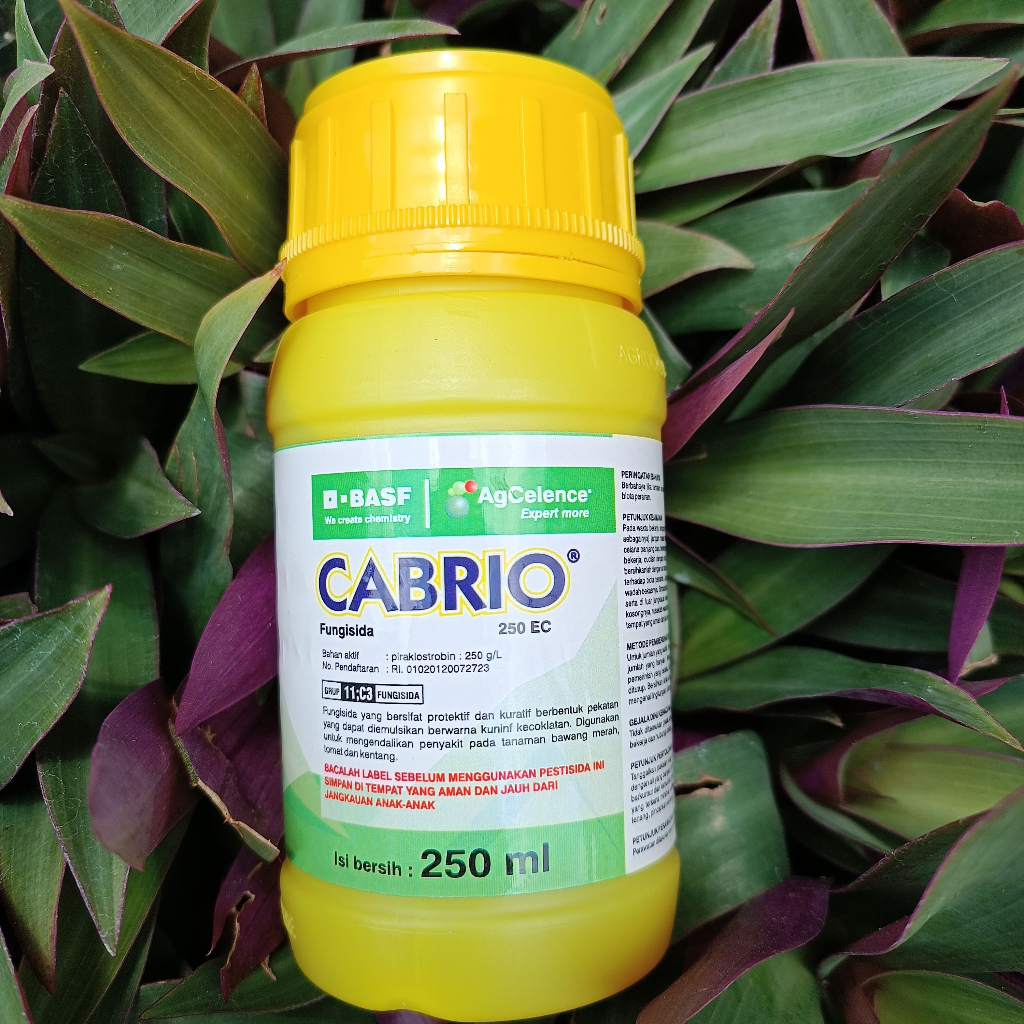 Cabrio 220 EC / FUNGISIDA CABRIO