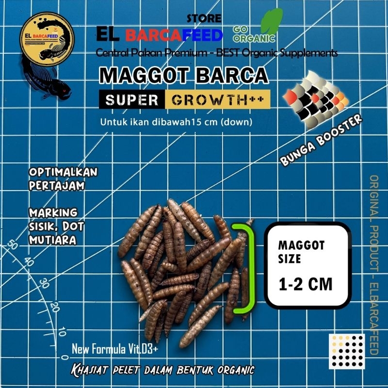 Ulggot-Pro BARCA Marking Booster 60 gram