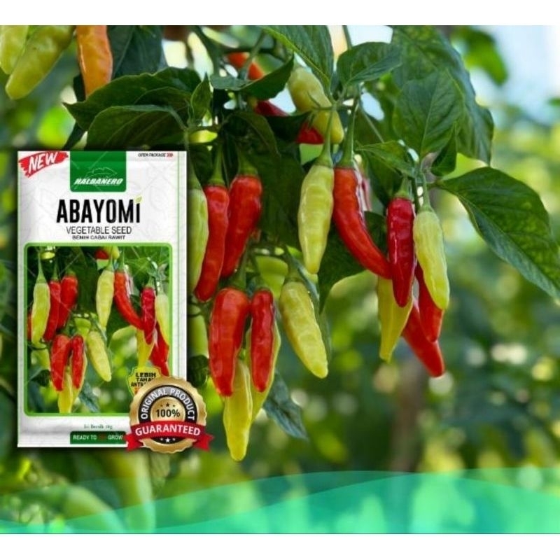 

Cabe Abayomi Kemasan 10gr Original Halbanero Seed