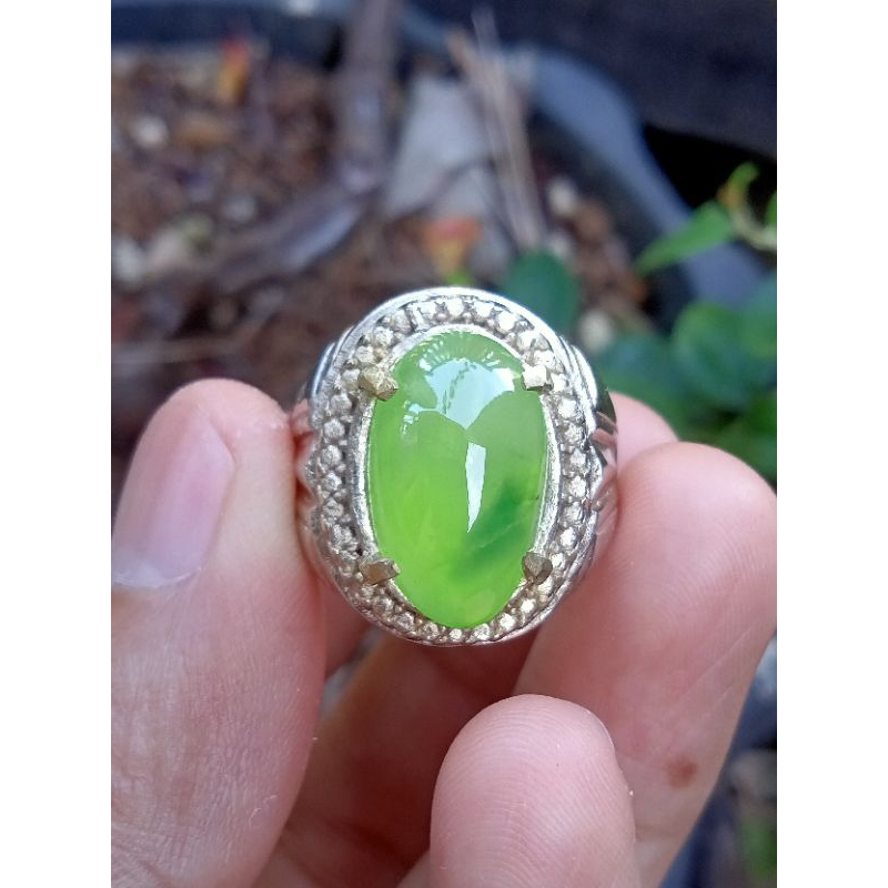 ✅[ ORIGINAL ] LUMUT SUNGAI DAREH PUCUK PISANG ( Batu Akik Natural asli Dhamasraya - Sumatera Barat -