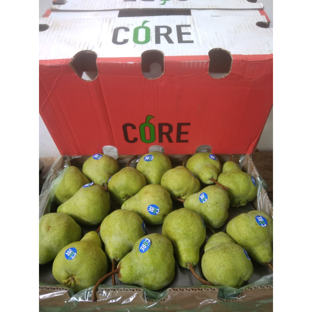 

PEAR PACKHAM FRESH IMPORT PER DUS