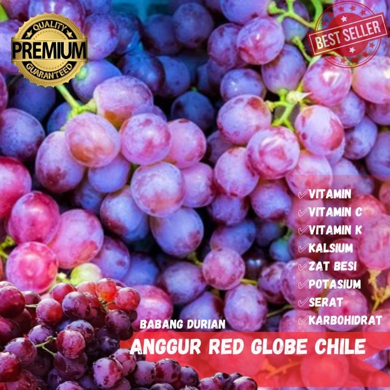 

ANGGUR RED GLOBE CHILE FRESH 500GR BERKUALITAS MANIS DAN BERGIZI