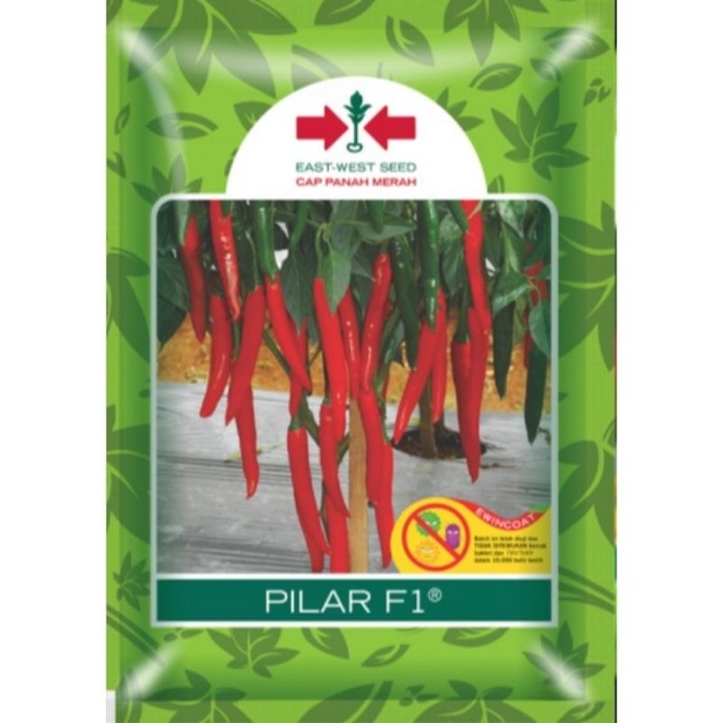 benih cabe besar PILAR isi 10 gram