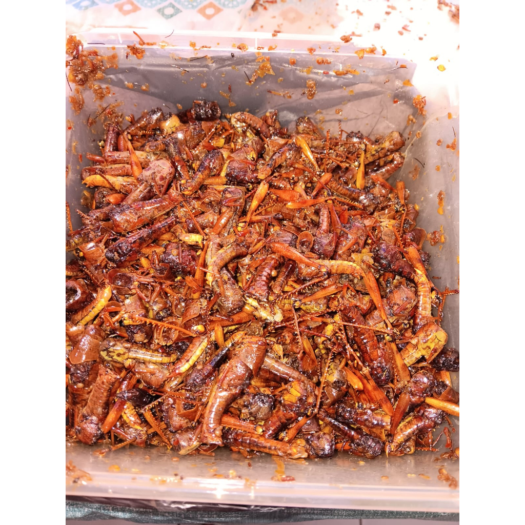 

BELALANG KAYU JATI GORENG KHAS BLORA PEDAS GURIH 1 KG