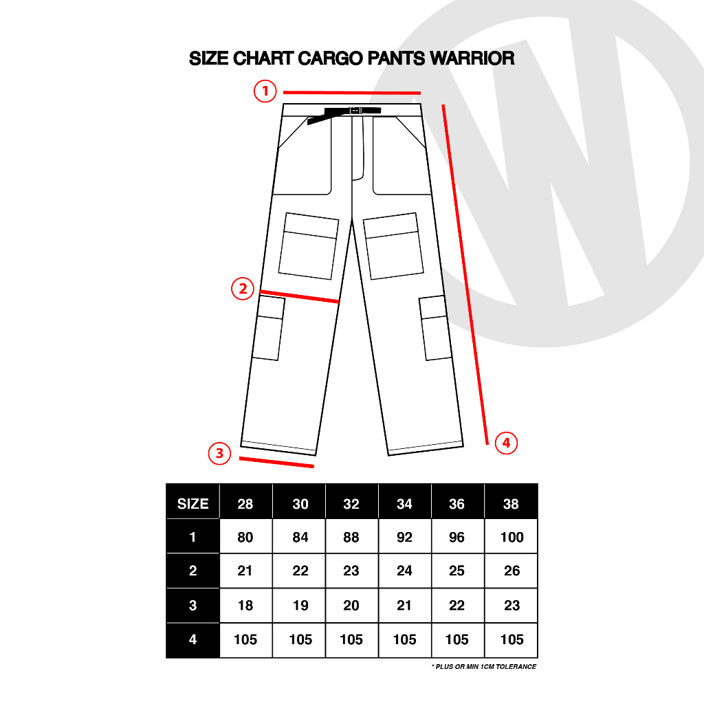 WISED | WARRIOR | CARGO PANTS