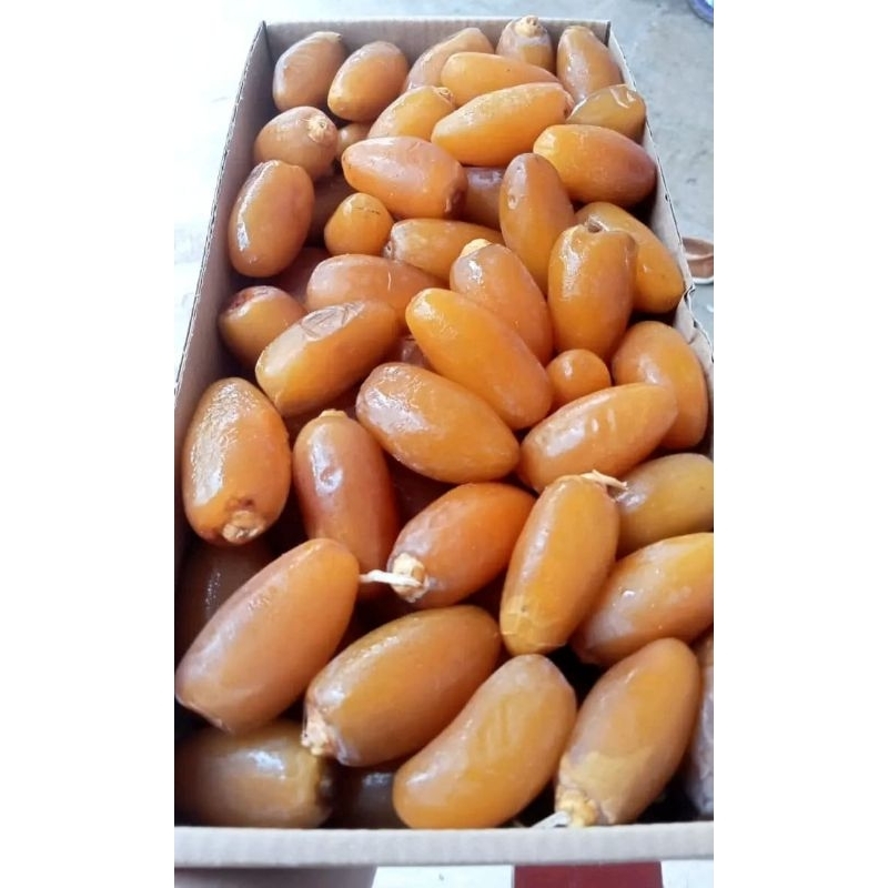 

Kurma Muda Ruthob Libya 1kg
