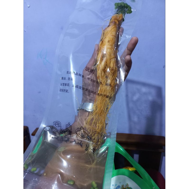 

ginseng impor korea